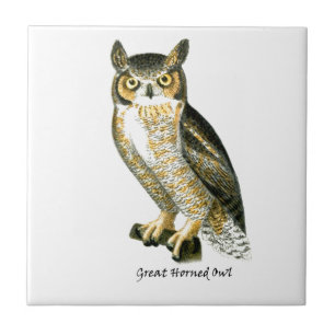 Great Horn Owl Tile