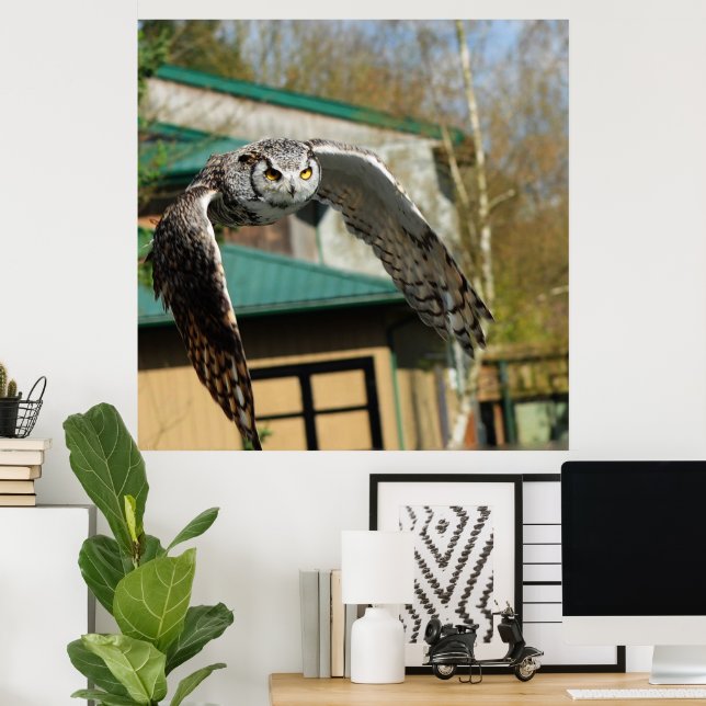 Great Horn Owl yellow eyes 2 Poster (Home Office)