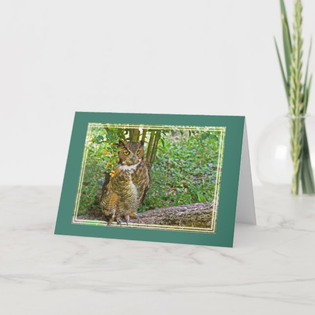 Great Horned Owl All-Purpose Greeting Card (Front)
