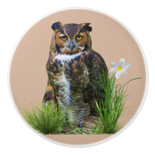 Great Horned Owl and Flower Ceramic Knob