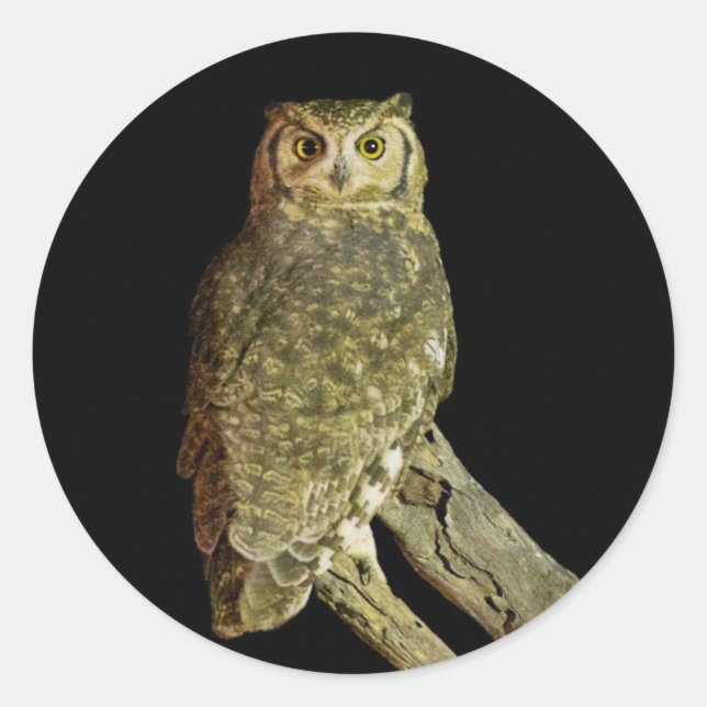 Great Horned Owl at Night Classic Round Sticker (Front)