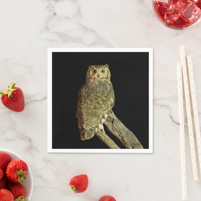 Great Horned Owl at Night Napkin (Insitu)