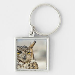 Great Horned Owl (Bubo virginianus), captive Key Ring