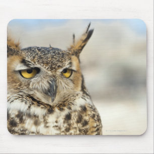 Great Horned Owl (Bubo virginianus), captive Mouse Mat