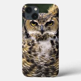 Great Horned Owl (Bubo virginianus), full body iPhone 13 Case