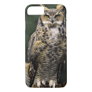 Great Horned Owl (Bubo virginianus), full body Case-Mate iPhone Case