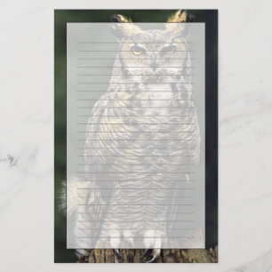 Great Horned Owl (Bubo virginianus), full body Stationery