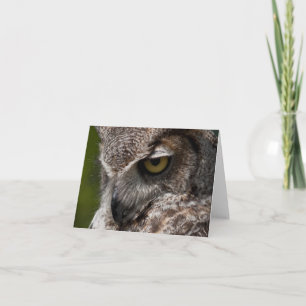 Great Horned Owl (Bubo virginianus) notecard