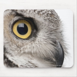 Great Horned Owl - Bubo Virginianus Subarcticus Mouse Mat