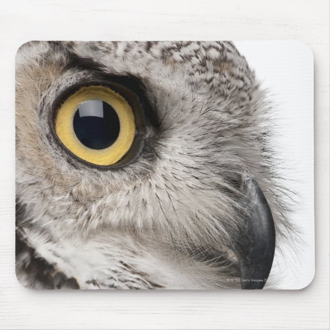 Great Horned Owl - Bubo Virginianus Subarcticus Mouse Mat (Front)