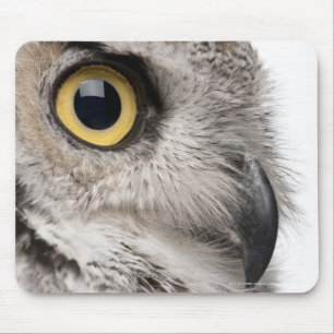 Great Horned Owl - Bubo Virginianus Subarcticus Mouse Mat