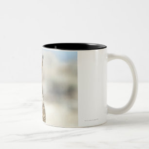 Great Horned Owl (Bubo virginianus) Two-Tone Coffee Mug