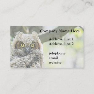 Great Horned Owl Business Card
