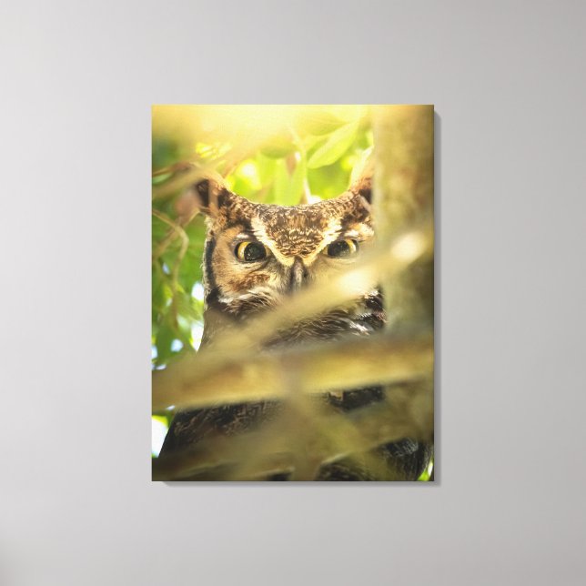 Great Horned Owl Canvas Print | Hidden Forest Owl (Front)