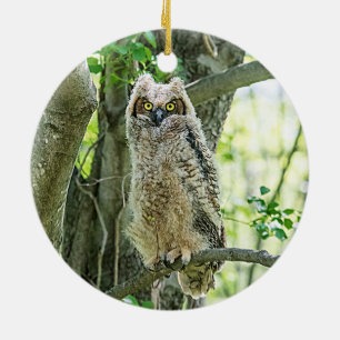 Great Horned Owl Ceramic Tree Decoration
