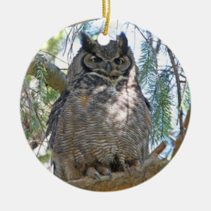Great Horned Owl Ceramic Tree Decoration
