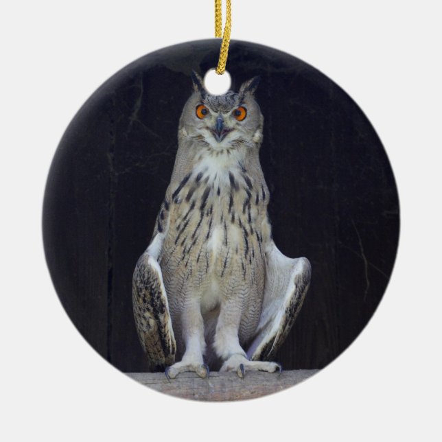 Great Horned Owl Ceramic Tree Decoration (Front)