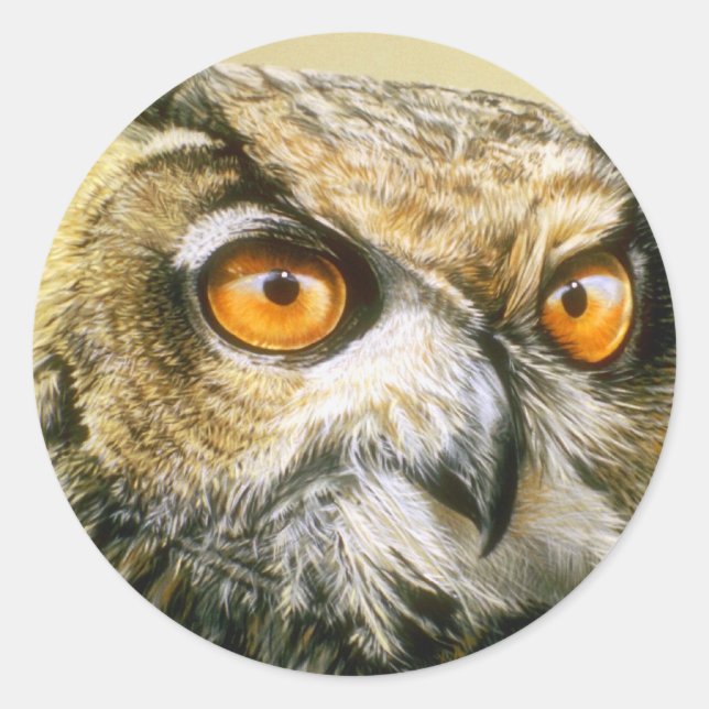 Great-Horned-Owl Classic Round Sticker (Front)