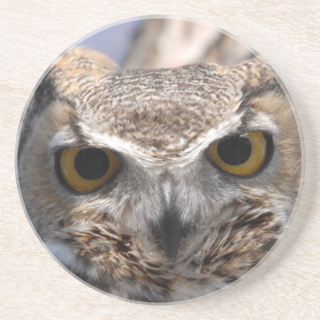 Great Horned Owl Coaster (Front)