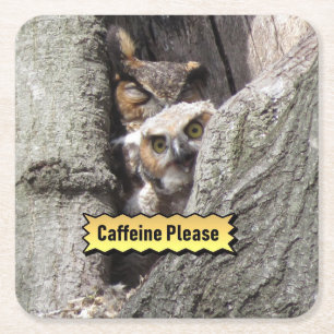 Great Horned Owl Coaster Set
