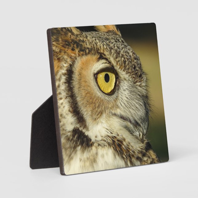 Great Horned Owl Desktop Plaque (Front)
