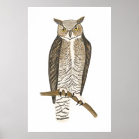Great Horned Owl Drawing Art