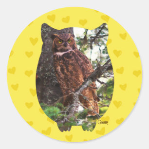 Great Horned Owl - Envelope Stickers
