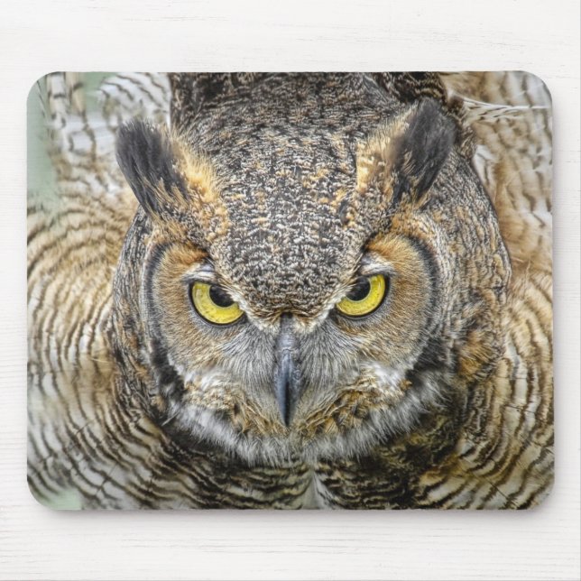 Great Horned Owl Following Eyes Mouse Mat (Front)