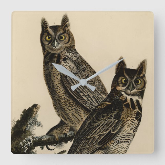 Great Horned Owl from Audubon's Birds of America Square Wall Clock (Front)