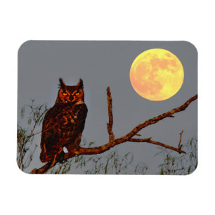 Great Horned Owl   Full Moon Magnet