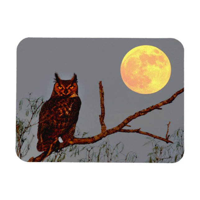 Great Horned Owl | Full Moon Magnet (Horizontal)