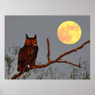 Great Horned Owl   Full Moon Poster