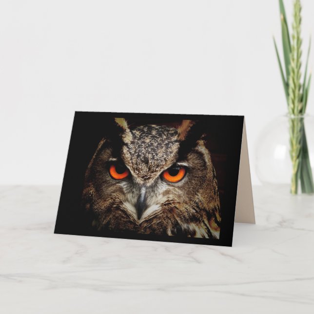 great horned owl greeting card (Front)
