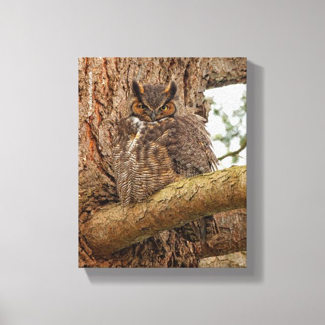 Great Horned Owl in the Douglas Fir Canvas Print (Front)