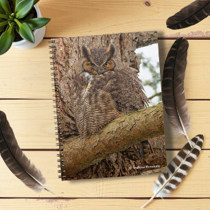 Great Horned Owl in the Douglas Fir Notebook