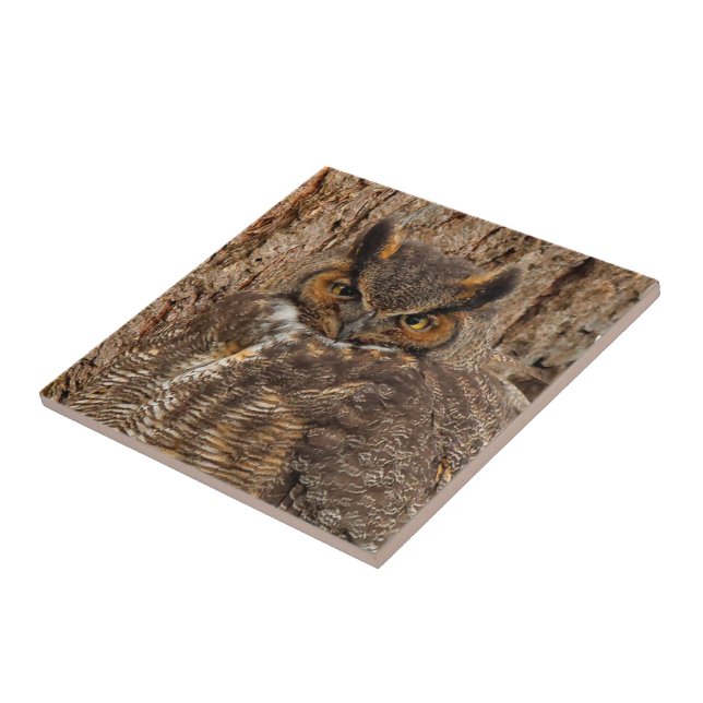 Great Horned Owl in the Douglas Fir Tile (Side)