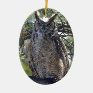 Great Horned Owl in the Tree Ceramic Tree Decoration