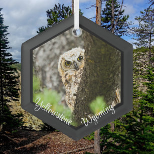 Great Horned Owl In Yellowstone Glass Tree Decoration