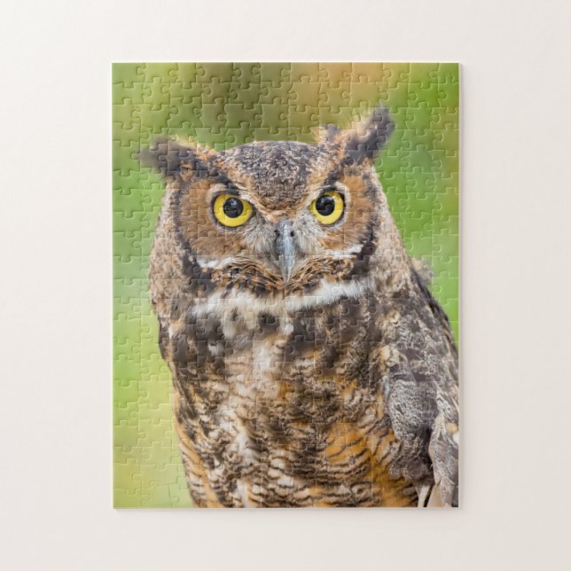 Great Horned Owl Jigsaw Puzzle (Vertical)