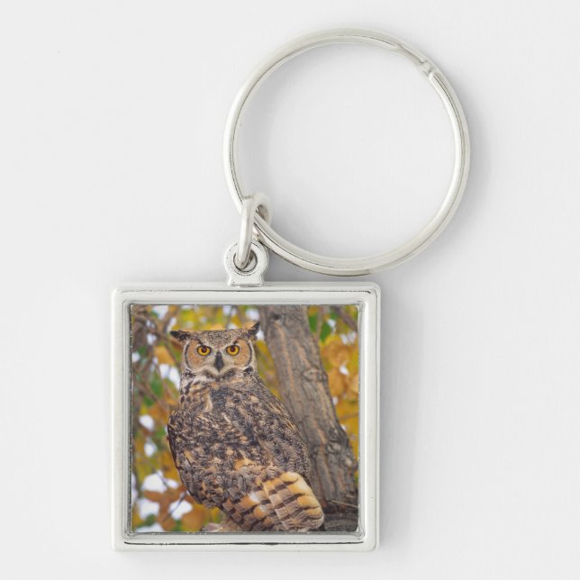 Great Horned Owl Key Ring (Front)