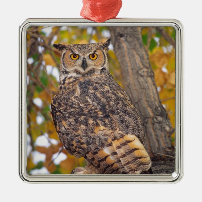 Great Horned Owl Metal Tree Decoration (Front)