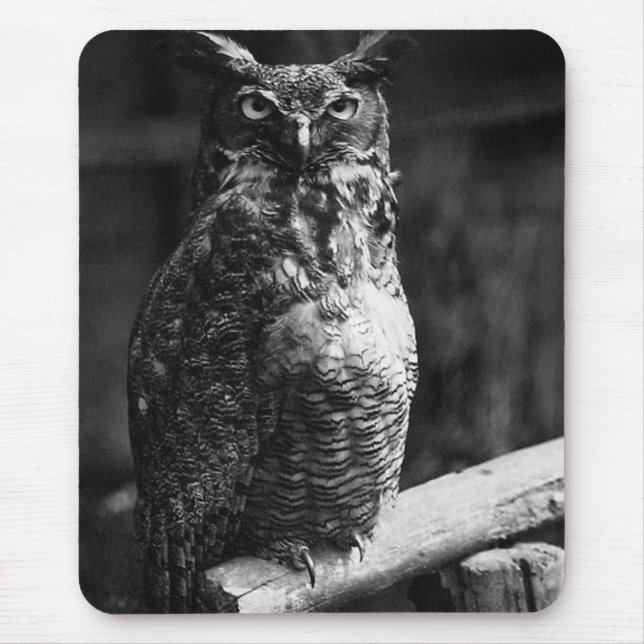 Great Horned Owl Mouse Mat (Front)