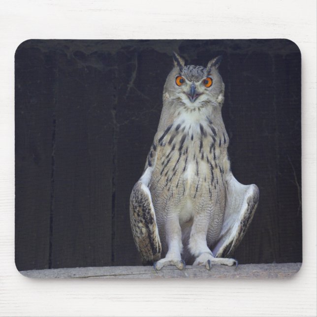 Great Horned Owl Mouse Mat (Front)