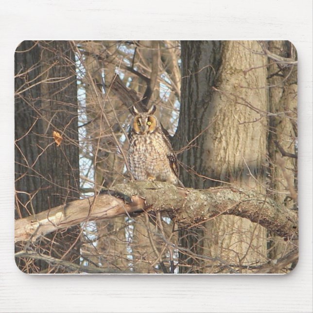 Great Horned Owl Mouse Mat (Front)