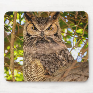 Great Horned Owl Mouse Pad Wildlife Desk Decor