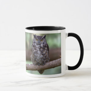 Great Horned Owl Mug