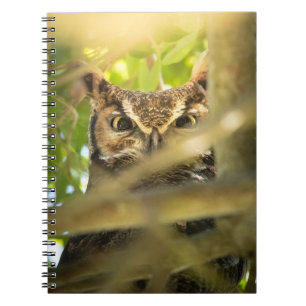Great Horned Owl Notebook Hidden Forest Bird