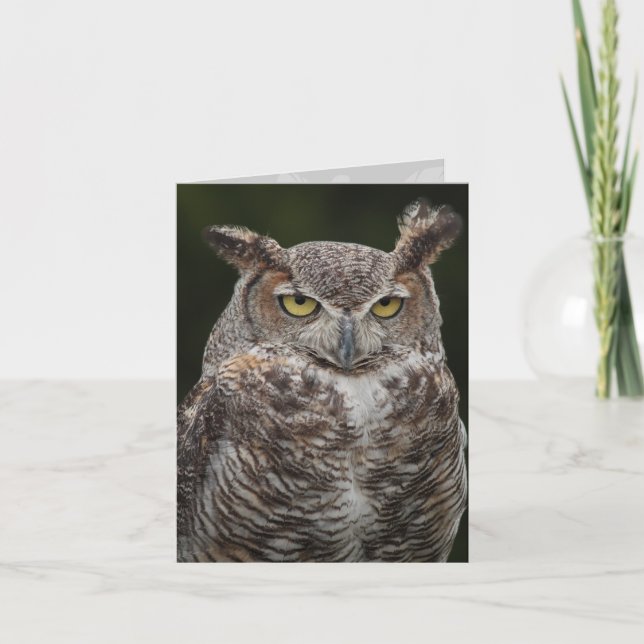 Great Horned Owl notecard (Front)