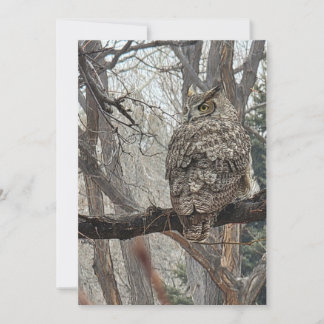 Great Horned Owl - Number 3 Holiday Card