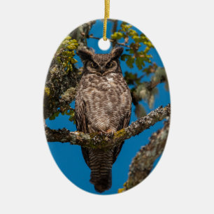 Great Horned Owl perched on a Garry Oak Ceramic Tree Decoration